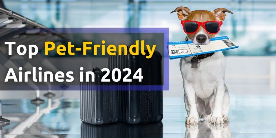 top-pet-friendly-airlines-2024